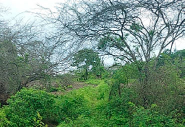Rancho Alegría Playas de Villamil